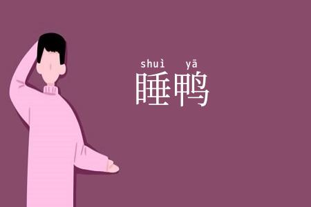 睡鸭