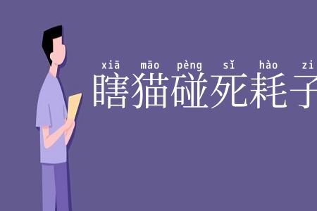 瞎猫碰死耗子