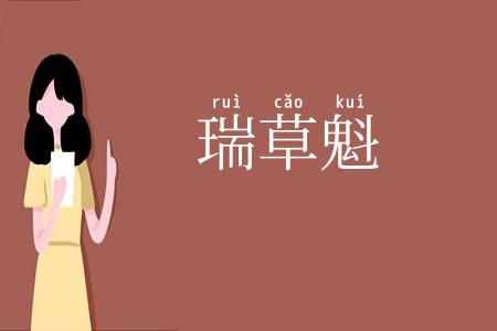 瑞草魁