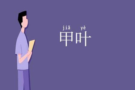 甲叶