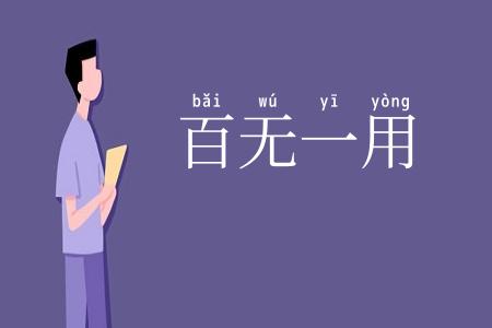 百无一用