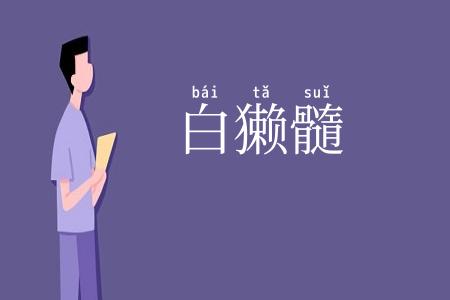 白獭髓