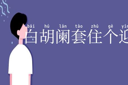 白胡阑套住个迎霜兔