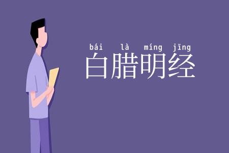 白腊明经