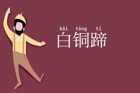 白铜蹄
