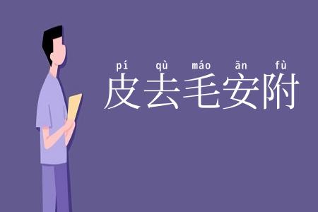 皮去毛安附