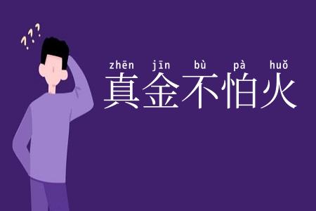 真金不怕火