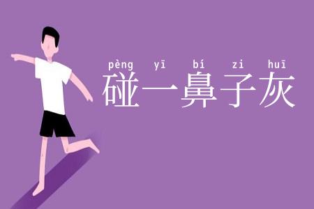 碰一鼻子灰