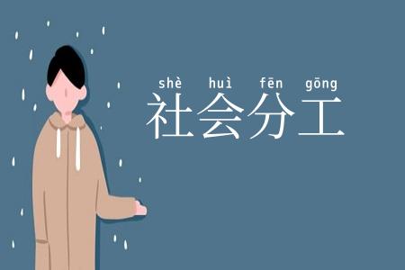 社会分工