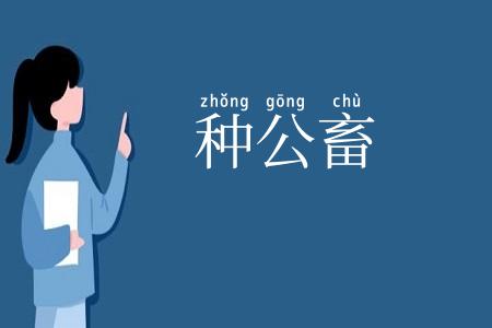 种公畜
