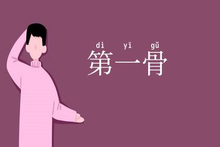 第一骨