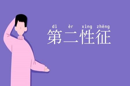第二性征