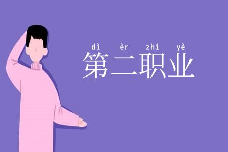 第二职业