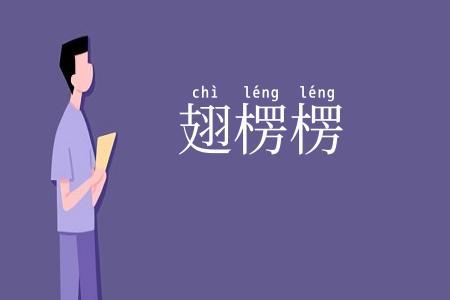 翅楞楞
