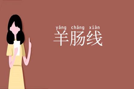 羊肠线