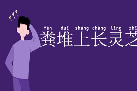 粪堆上长灵芝