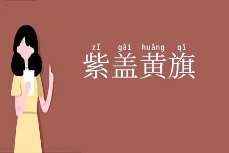 紫盖黄旗