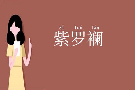 紫罗襕