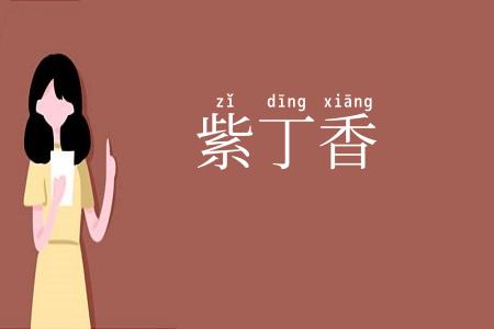 紫丁香