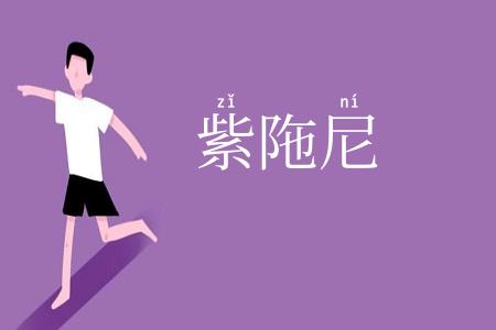 紫陁尼