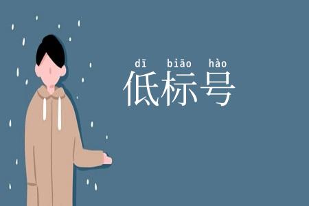 低标号