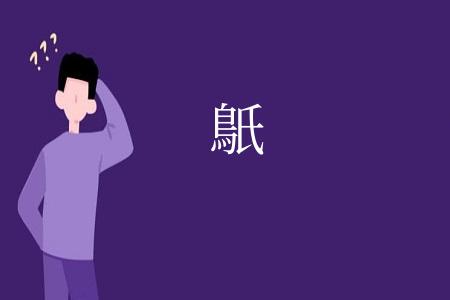 䲬