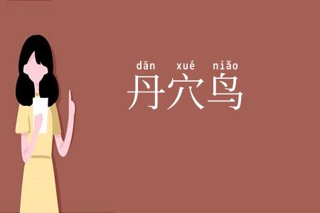 丹穴鸟