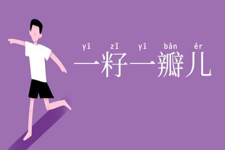 一籽一瓣儿