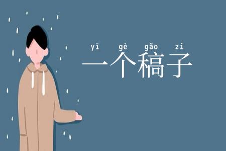 一个稿子