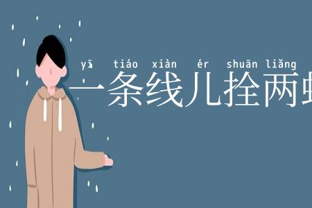 一条线儿拴两蚂蚱