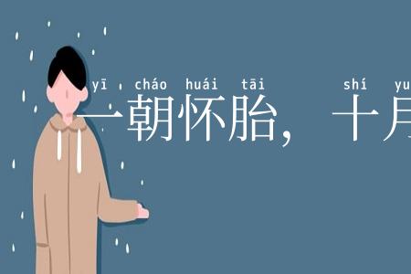 一朝怀胎,十月分娩