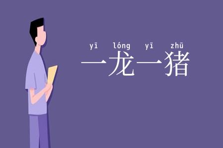 一龙一猪