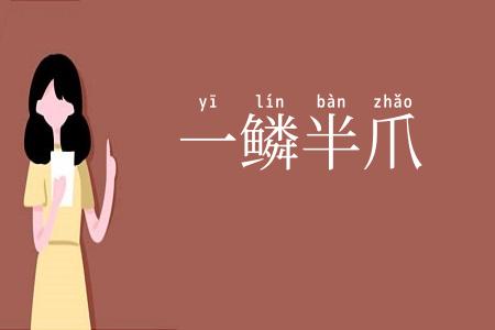 一鳞半爪
