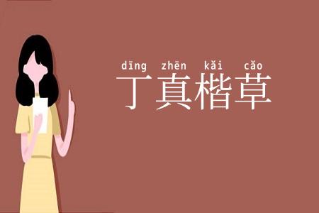 丁真楷草