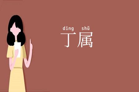丁属