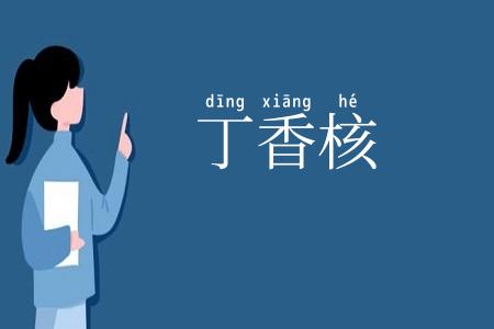 丁香核