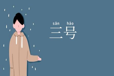 三号