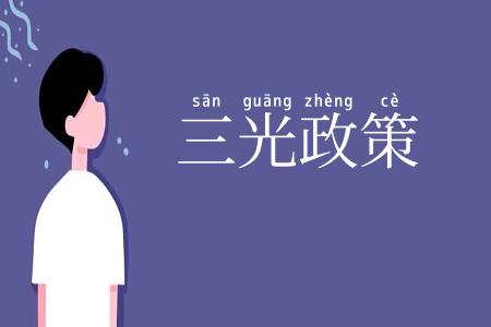 三光政策