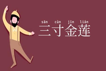 三寸金莲