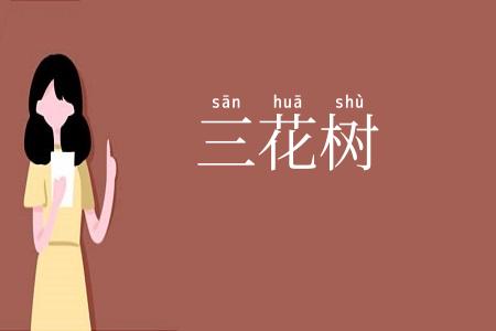 三花树