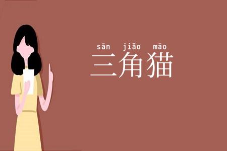 三角猫