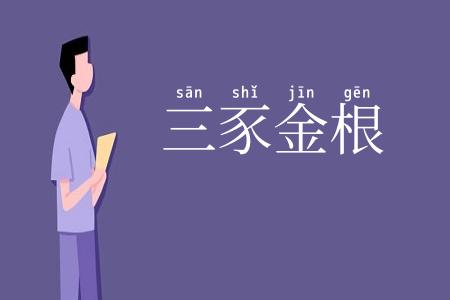 三豕金根