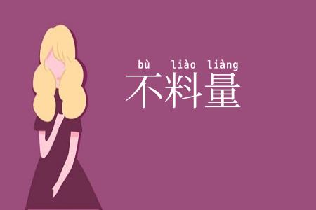 不料量