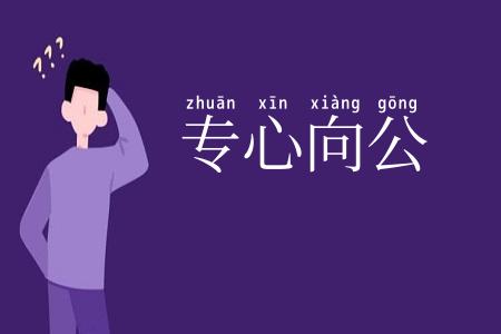 专心向公