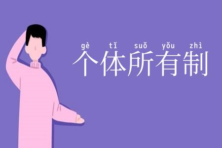 个体所有制
