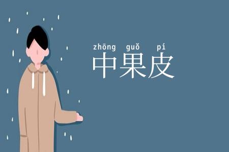 中果皮
