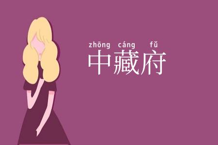 中藏府