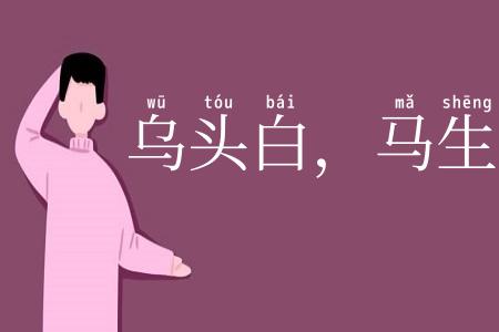 乌头白，马生角