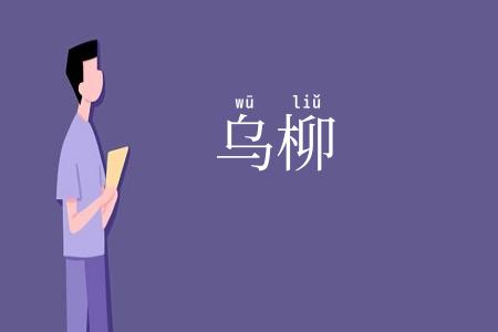 乌柳