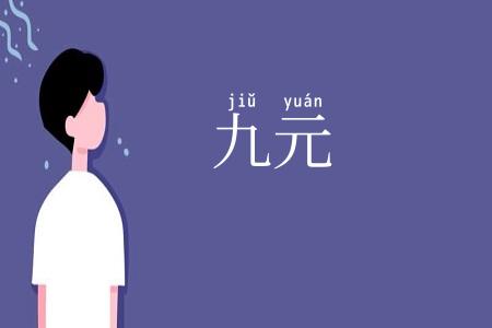 九元